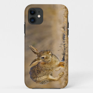 Etui iPhone Case-Mate lapin à queue blanche de l'est sautant
