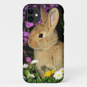 Coque Case-Mate Pour iPhone Lapin de Pâques