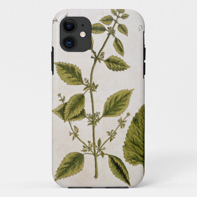 Coques Case-Mate iPhone Le baume, plaquent 27 "d'un de fines herbes (Dos)