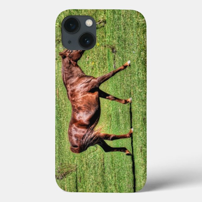 Coques Case-Mate iPhone Le cadeau de l'amoureux de l'équine (Verso)