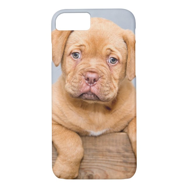 Coques Case-Mate iPhone Le Chien-Chien-Chien-Chiffre De Bordeaux (Dos)