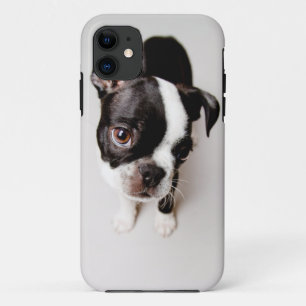 Etui iPhone Case-Mate Le chiot d'Edison Boston Terrier.