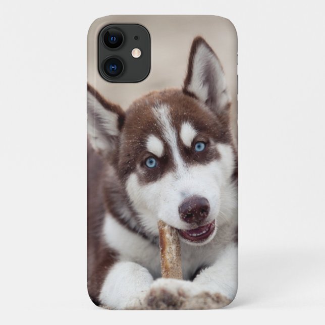 Coques Case-Mate iPhone Le chiot sibérien Husky à la plage (Dos)