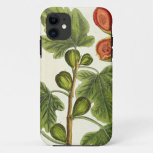 Coque iPhone 11 Le figuier, plaquent 125 "d'un de fines herbes