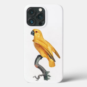 Case-Mate iPhone Case Le perroquet du Sénégal
