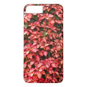 Coque Case-Mate Pour iPhone Le téléphone enferme la poinsettia rouge