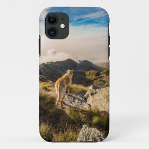Coque Case-Mate Pour iPhone Le voyage