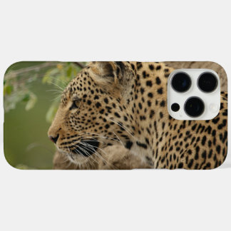 Coques iPhone 16 Pro Max Leopard 