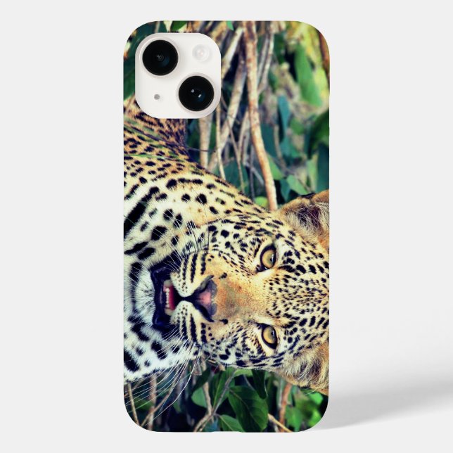Coques Case-Mate iPhone Leopard, animal (Verso)