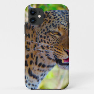 Coque iPhone 11 Leopard tacheté