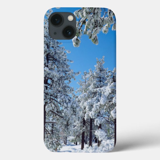 Coques Case-Mate iPhone Les arbres couverts de neige dans les Laguna (Verso)