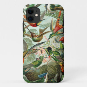 Case-Mate iPhone Case Les colibris incroyables Image de Ernst Haeckel