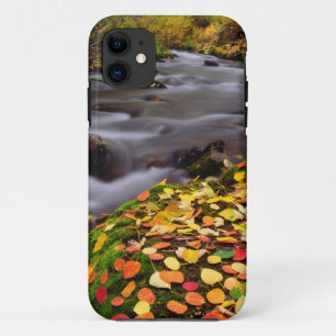 Coque iPhone 11 Les couleurs d'automne le long de McGee Creek