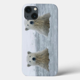 iPhone 13 Case Les Etats-Unis, Alaska, pente du nord, 1002