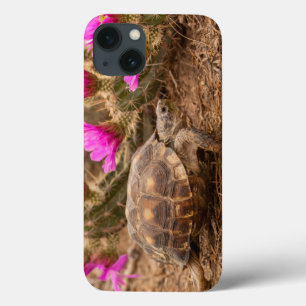 Etui iPhone Case-Mate Les Etats-Unis, le Texas, le comté de Hidalgo.