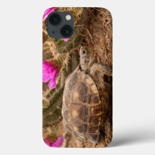 Etui iPhone 13 Les Etats-Unis, le Texas, le comté de Hidalgo.