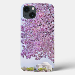 Etui iPhone 13 Les Etats-Unis, Washington DC, cerisier en fleur
