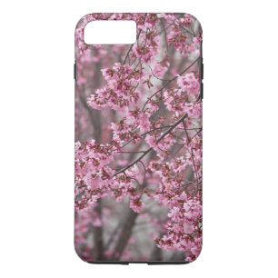 Coque iPhone 7 Plus Les fleurs de cerisiers Sakura sont roses