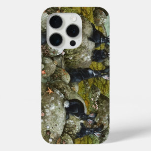 Coque iPhone 15 Pro Les lapins noirs de Hy-Brasil