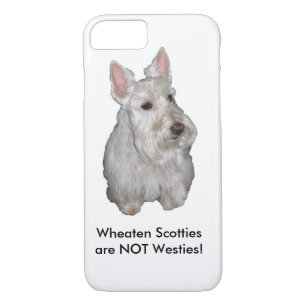 Coque Case-Mate Pour iPhone Les Scotties blonds comme les blés ne sont pas