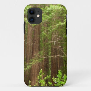 Coque Case-Mate Pour iPhone Les séquoias au monument national de Muir Woods