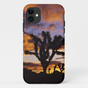 Case-Mate iPhone Case Lever de soleil spectaculaire au parc national de 