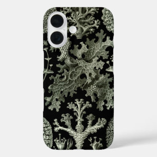 Coques iPhone 16 Lichen par Ernst Haeckel, Plantes de la nature vin