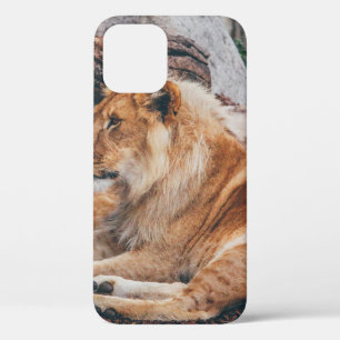 Case-Mate iPhone CASE LION ET LIONESS MENANT SUR LA SURFACE BROWN