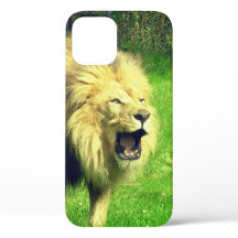 Lion rôti