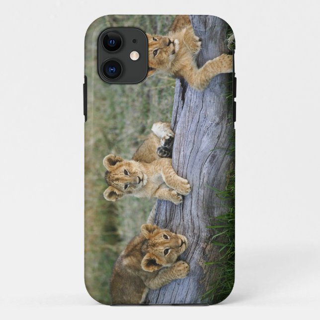 Coques Case-Mate iPhone Lionceaux sur rondin (Dos)