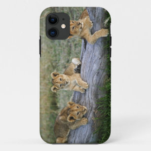 Coque Case-Mate Pour iPhone Lionceaux sur une bûche