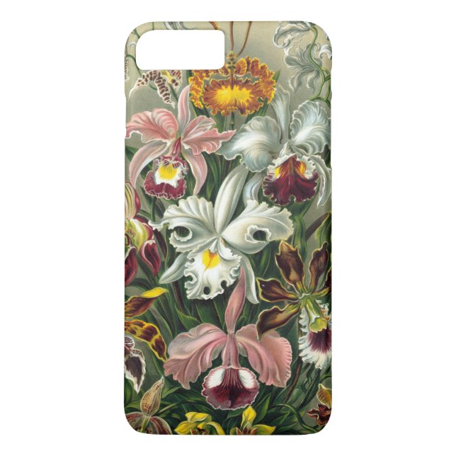 Coques Case-Mate iPhone Lithographie colorée de l'orchidée de Haeckel (Dos)
