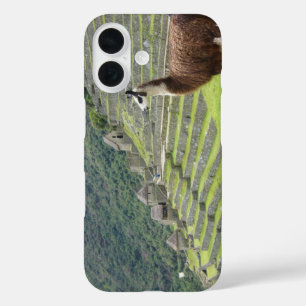 Coques iPhone 16 llama