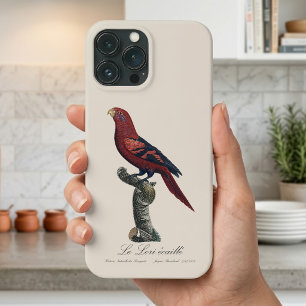 Case-Mate iPhone Case Lori réticulé, Trichoglossus reticulatus