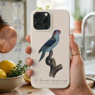Case-Mate iPhone Case Loriquet à tête bleue, Trichoglossus concinnus