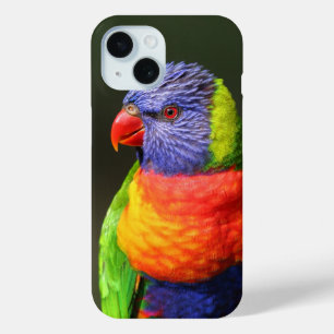 Coque Pour iPhone 15 Loriquet arc-en-ciel