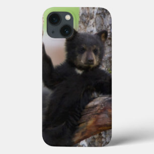 iPhone 13 Case Lounging de CUB d'ours noirs
