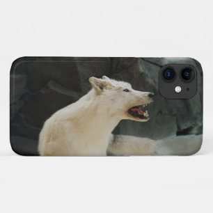 Coques Pour iPhone Loup blanc