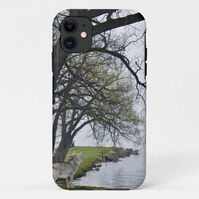Coques Case-Mate iPhone Loup gris et hérons par Lake Wildlife iPhone 5 Coq (Dos)