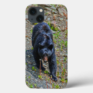 Case-Mate iPhone Case L'ours noir dans la nature sauvage du Yukon Photo