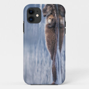 Coque Case-Mate Pour iPhone loutre de mer, Enhydra lutris lutris
