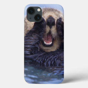 iPhone 13 Case Loutre de mer mignonne   Alaska, Etats-Unis