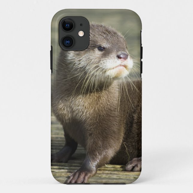 Coques Case-Mate iPhone Loutre mignonne de bébé (Dos)