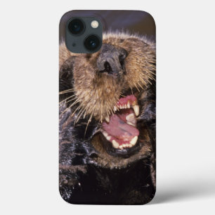 Etui iPhone Case-Mate Loutres de mer, lutris 6 d'Enhydra