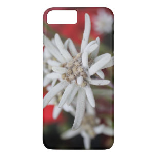 Coque iPhone 8 Plus/7 Plus Lovely Edelweiss Leontopodium nivale