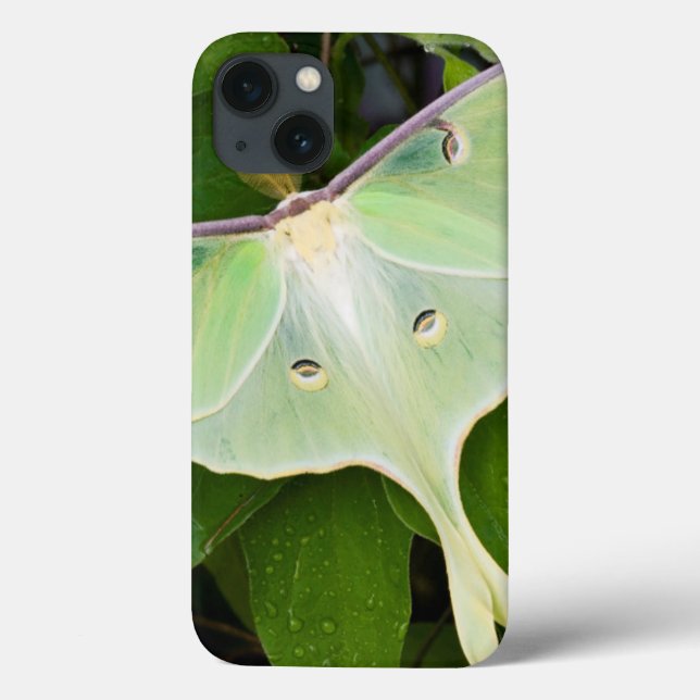 Coques Case-Mate iPhone Luna Moth on Carnaby Clematis (Verso)