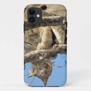 Coque Case-Mate Pour iPhone Lynx espiègle