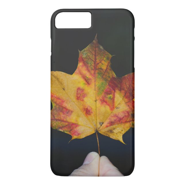 Coques Case-Mate iPhone Macro jaune de feuille d'automne (Dos)
