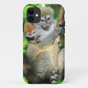 Etui iPhone Case-Mate Madagascar, Andasibe, Ile Aux Lemuriens, Mère