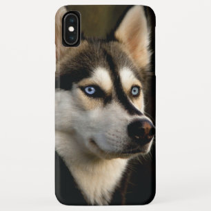 Case-Mate iPhone Case Magnifique Coussin de Jet Husky